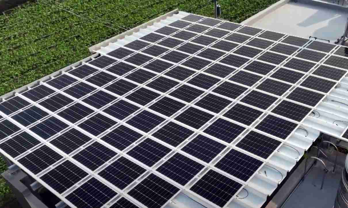 NG大舞台SunSteel光电浪板升级双玻结构，，以提升机械负载强度及气候耐候度，，，可广泛运用于多元场域